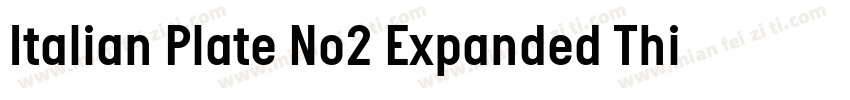 Italian Plate No2 Expanded Thin字体转换
